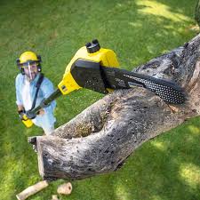 Best Mulching Services  in Frederickson, WA